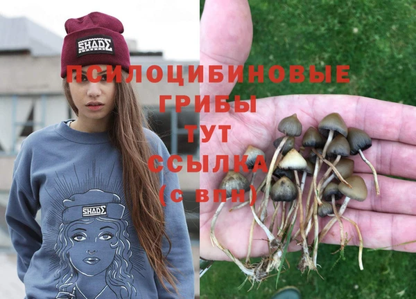 скорость Переславль-Залесский