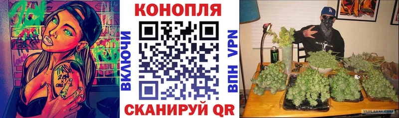 мега зеркало  Пудож  Канабис планчик 